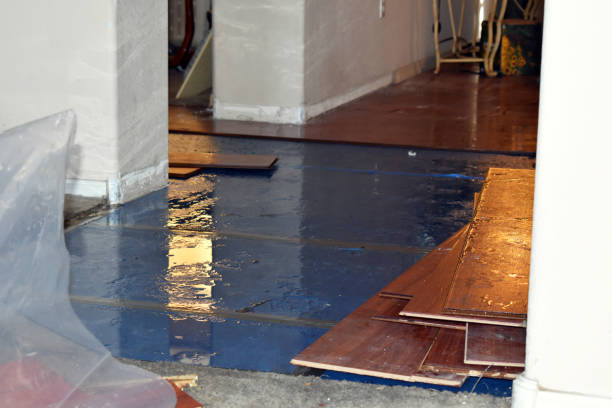Professional Basement Water Removal technician working in Central, UT